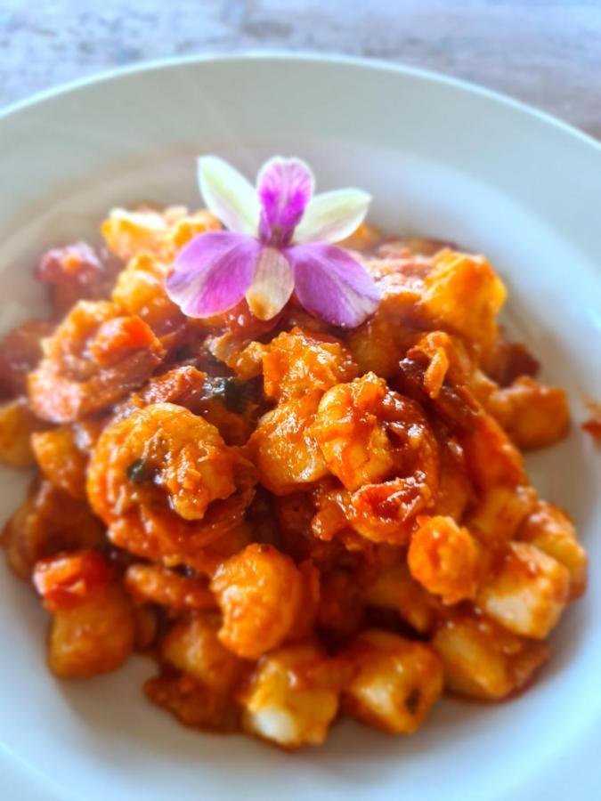 Casa Marrom Do Chef Lejlighed Araranguá Eksteriør billede